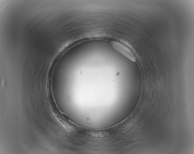 X0000064730439200602241724