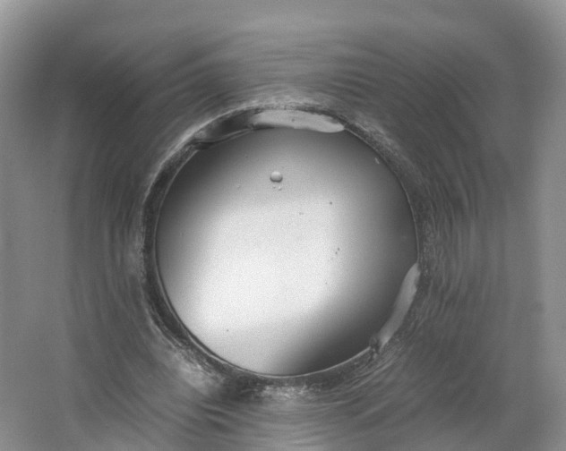 X0000064730440200602241724