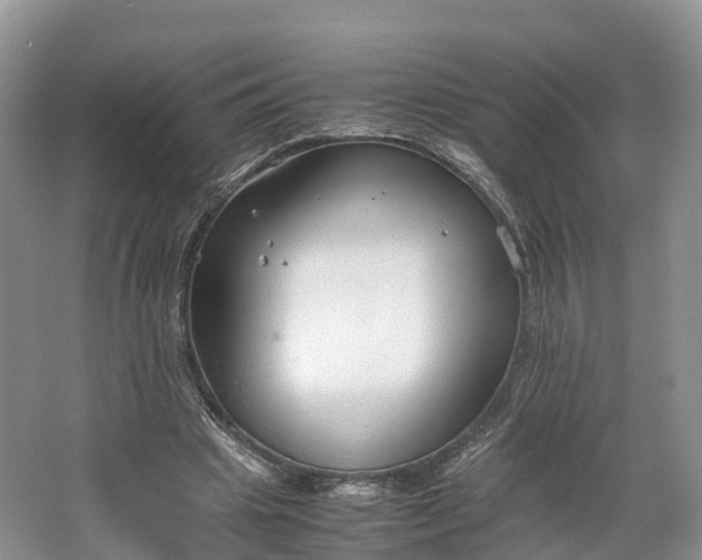 X0000064730441200602241724