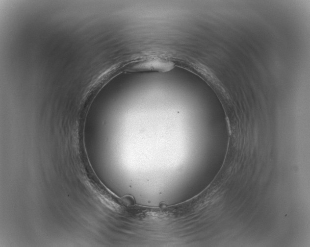 X0000064730442200602241724