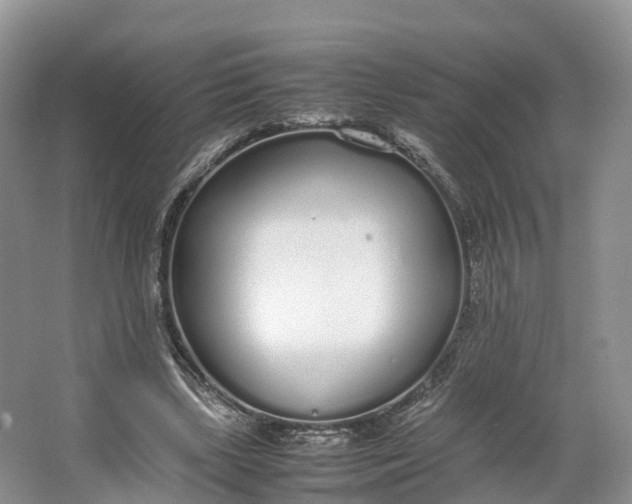 X0000064730443200602241724