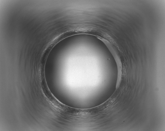 X0000064730444200602241725