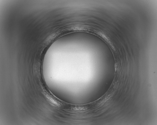 X0000064730445200602241725