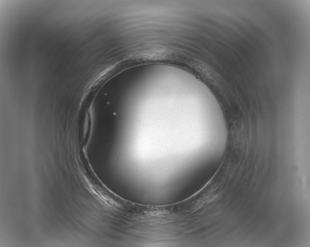 X0000064730446200602241725