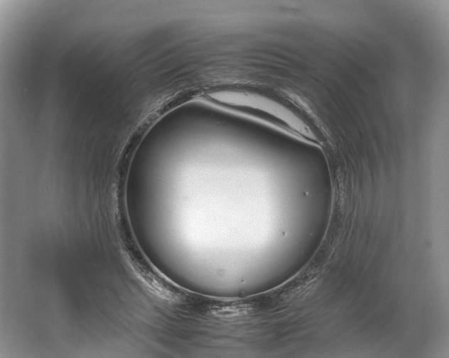 X0000064730447200602241725