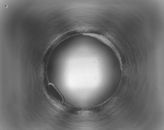 X0000064730448200602241725