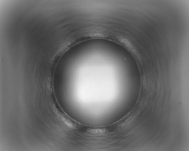 X0000064730449200602241725