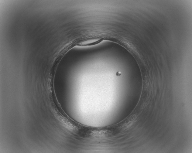 X0000064730450200602241725