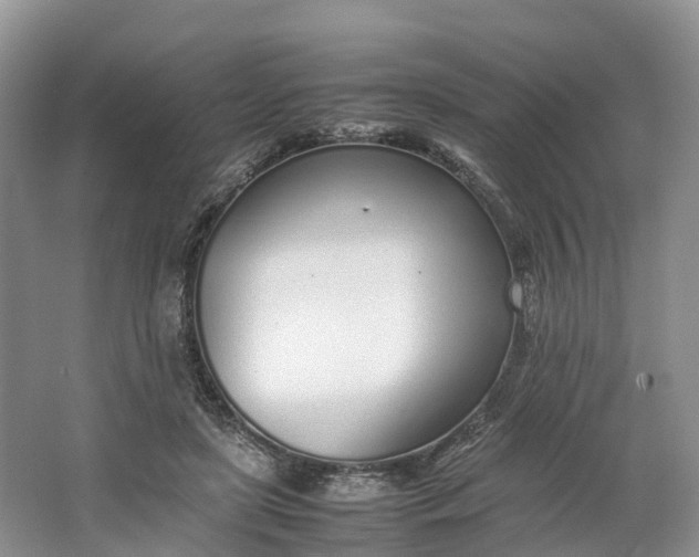 X0000064730451200602241725