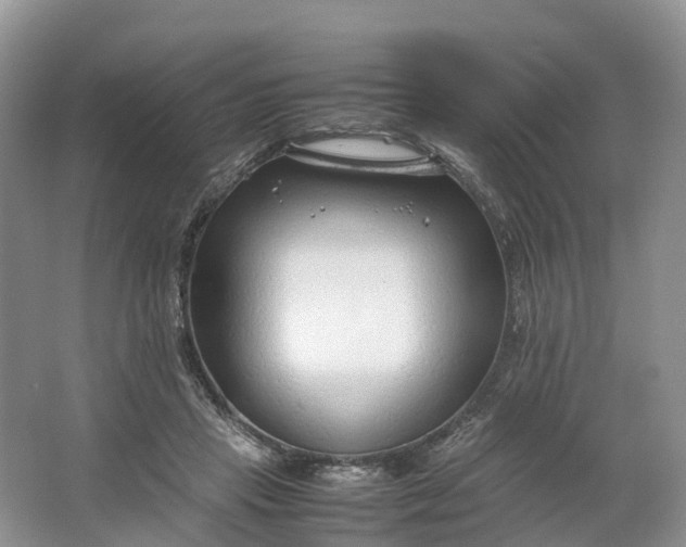 X0000064730453200602241725