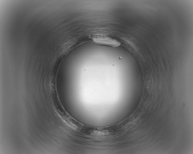 X0000064730455200602241725