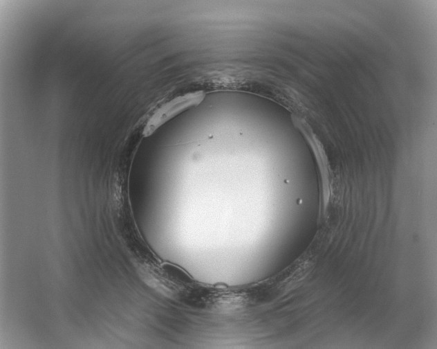 X0000064730456200602241725