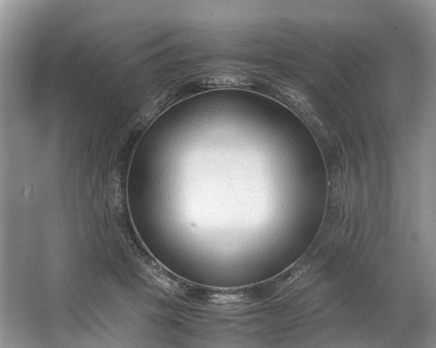 X0000064730457200602241725