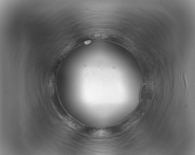 X0000064730460200602241725