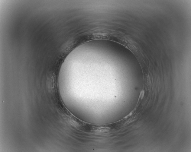 X0000064730463200602241725