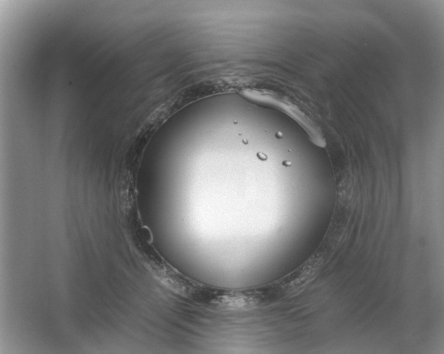 X0000064730464200602241725