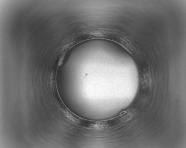 X0000064730466200602241725