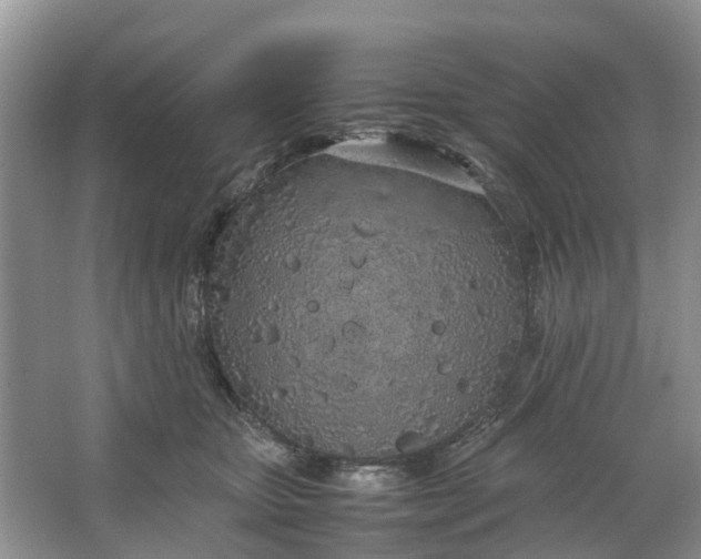 X0000064730467200602241725