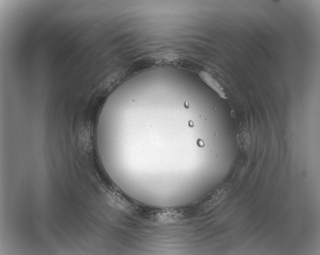 X0000064730468200602241725