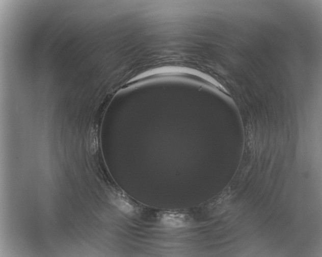 X0000064730471200602241725