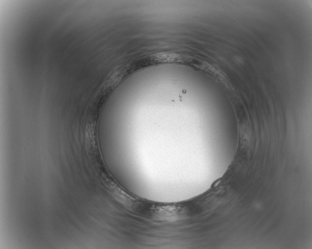 X0000064730473200602241725