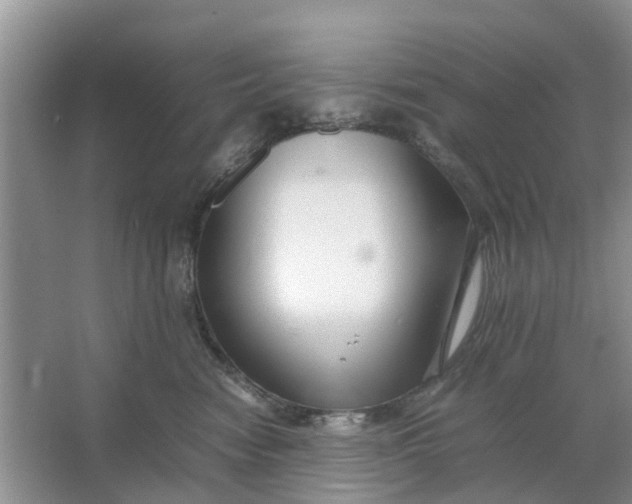 X0000064730474200602241725