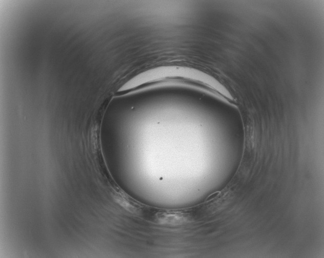 X0000064730475200602241725