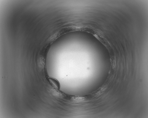 X0000064730476200602241725