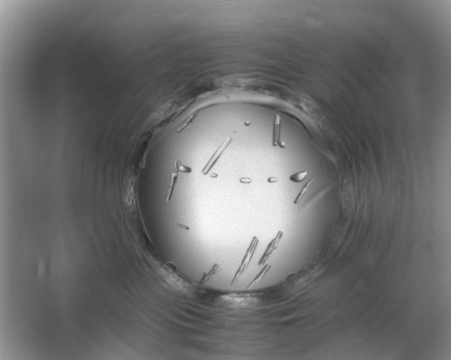 X0000064730477200602241725