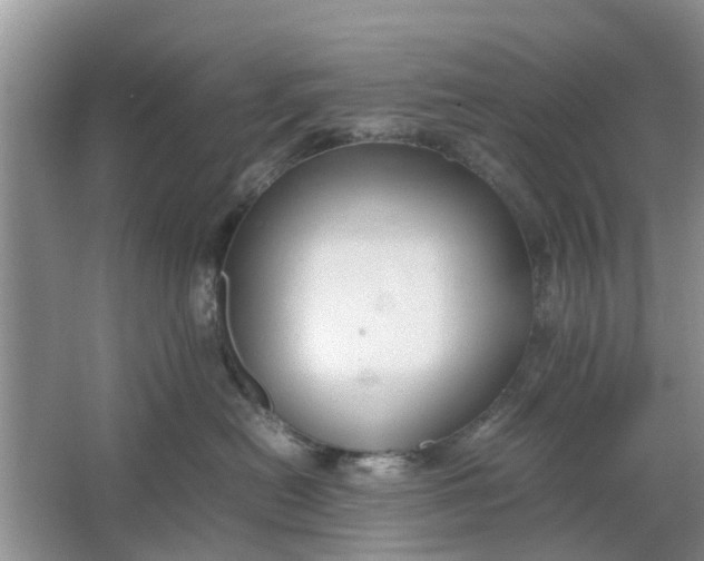 X0000064730478200602241725