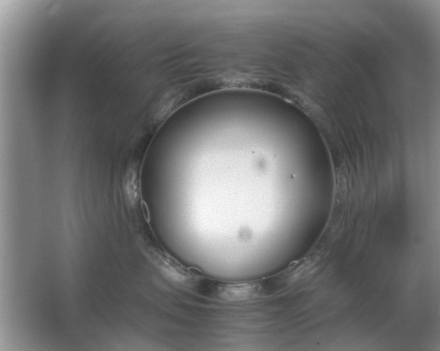 X0000064730479200602241725