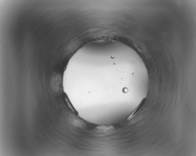 X0000064730480200602241725