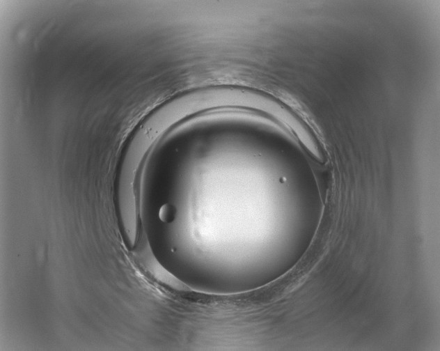 X0000064730481200602241724