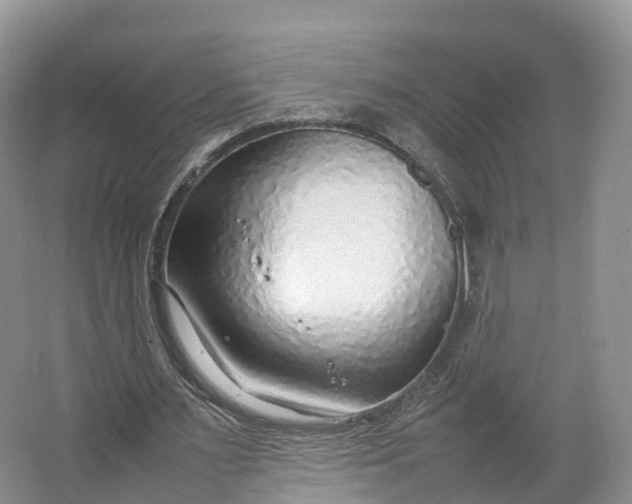 X0000064730483200602241724