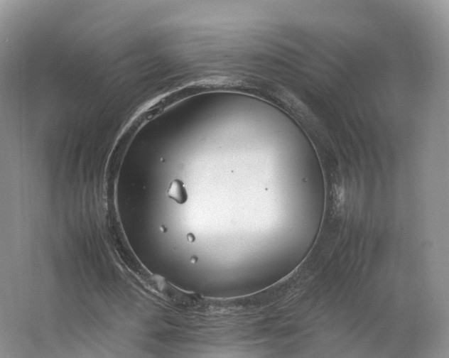 X0000064730484200602241724