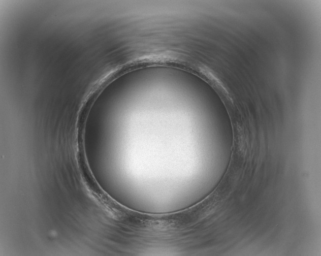 X0000064730486200602241724