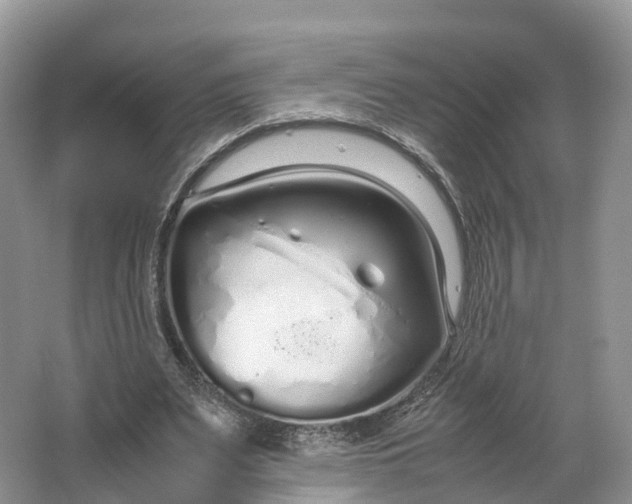 X0000064730487200602241724