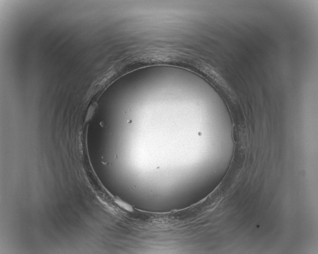 X0000064730489200602241724