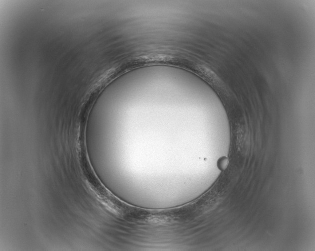 X0000064730490200602241724