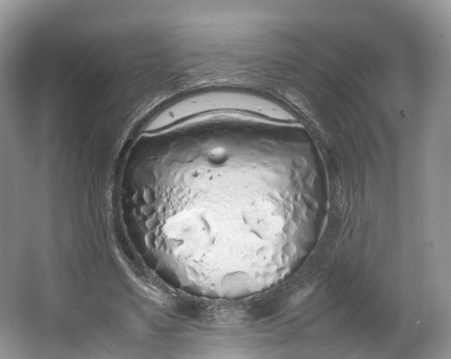 X0000064730491200602241724