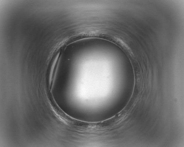 X0000064730493200602241724