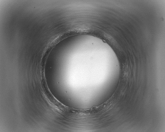 X0000064730494200602241724