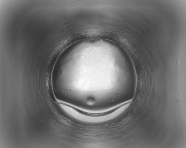 X0000064730495200602241724