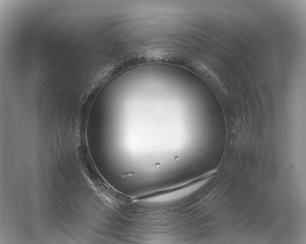 X0000064730496200602241724