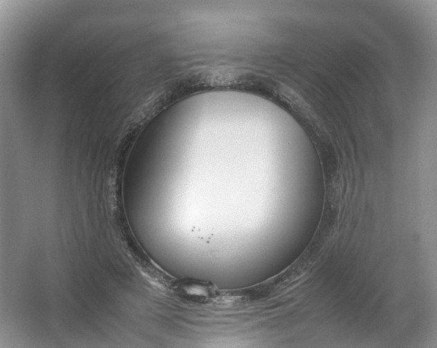 X0000064730497200602241724