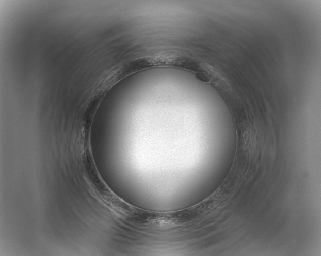 X0000064730498200602241724