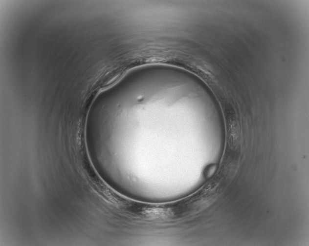 X0000064730499200602241724