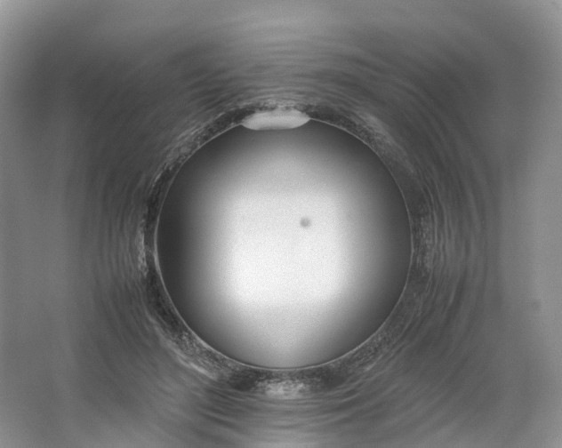 X0000064730500200602241724