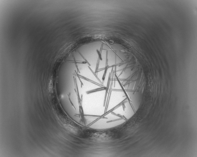 X0000064730502200602241724