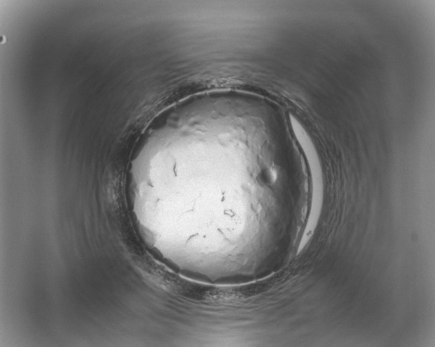 X0000064730503200602241724